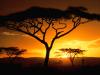 Tanzanian Sunset